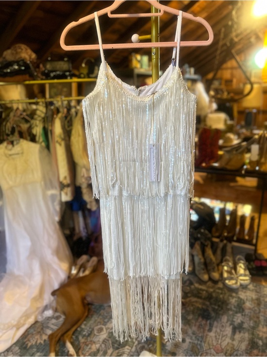 Dress the Population Dresses & Skirts - Dress the Population Ivory Sequin Fringe Slip